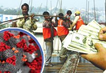 করোনা ভাইরাসের কারনে বেকার হচ্ছেন প্রবাসীরা, রেমিট্যান্সে বিপর্যয়