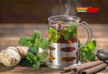 রোগ প্রতিরোধ ক্ষমতা বাড়াতে নিজেই বানান কার্যকরী ড্রিংক