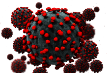 দুর্বল হয়ে হচ্ছে করোনা-ভাইরাস!