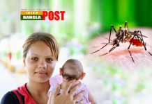 আয়ারল্যান্ডের প্রথম জিকা ভাইরাস পাওয়া গেলো