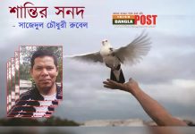 শান্তির সনদ