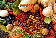 মশলা রোগ প্রতিরোধ ক্ষমতা বাড়াবার মহৌষধ, জানুন বিস্তারিত