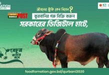 এবার কোরবানির পশু বেচা-কেনা হবে ডিজিটাল হাটে