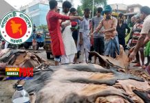 প্রতি বর্গফুট গরুর চামড়া ৩৫, খাসি ১৩ টাকা নির্ধারণ করেছে সরকার