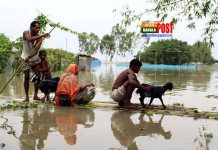 আশ্রয় কেন্দ্রে ৩০ হাজার মানুষের সঙ্গে ৫৬ হাজার গবাদিপশু