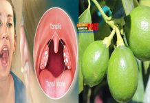 লেবুর রসেই মিলবে টনসিল থেকে মুক্তি!