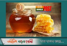 ঠান্ডা-কাশিতে ‘অ্যান্টিবায়োটিকের চেয়ে’ কার্যকরী মধু: অক্সফোর্ডের গবেষণা
