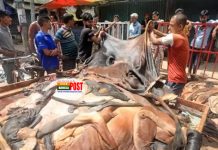 কোরবানির পশুর চামড়া নিয়ে বিপাকে। ন্যায্য মূল্য পাচ্ছে না বিক্রেতারা