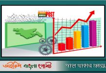 দক্ষিণ এশিয়ায় ভারতের চেয়েও বাংলাদেশিদের মাথাপিছু আয় বেশি।