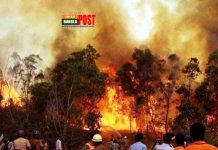 দাবানল থামাতে অস্ট্রেলিয়া-কানাডার সাহায্য চেয়েছে ক্যালিফোর্নিয়া