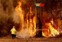 ক্যালিফোর্নিয়ার দাবানলে ঘরছাড়া হয়েছে প্রায় দুই লাখ মানুষ