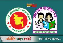 চলতি বছরে প্রাথমিক সমাপনী পরীক্ষা বাতিলের প্রস্তাব
