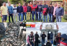 আয়ারল্যান্ডে উৎসব-আনন্দে ম্যৎস শিকার করলেন কমিউনিটি ব্যাক্তিবর্গ (ভিডিও)