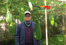 আয়ারল্যান্ডে কামাল হোসেনের স্বপ্নের শখের বাগান