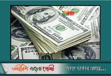 বাংলাদেশে ডলারের হিসাবে বিদেশি কর্মীদের বেতন হবে