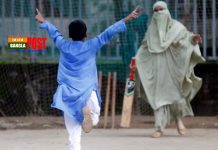 মিডিয়া জগতে আলোড়ন জাগালো মা ও সন্তানের ক্রিকেট খেলা (ভিডিও)