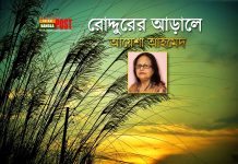 রোদ্দুরের আড়ালে