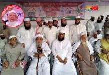 আল্লামা শফী ছিলেন শতাব্দীর মহাজাগরণের প্রতীক : বাবুনগরী