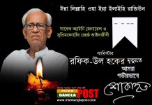 ব্যারিস্টার রফিক উল হক আর নেই