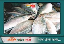 আগামী ১৪ অক্টোবর থেকে ৪ নভেম্বর পর্যন্ত ইলিশ ধরা নিষেধ। সহায়তা পাচ্ছেন জেলেরা