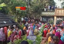 সাতক্ষীরায় একই পরিবারের সন্তানসহ ৪ জনকে গলা কেটে হত্যা