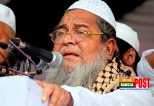 ভাস্কর্য আমার বাবার হলেও টেনেহিঁচড়ে ফেলে দেব: বাবুনগরী!