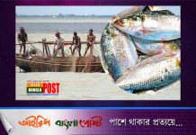 আজ থেকে ইলিশ ধরতে পারবেন জেলেরা
