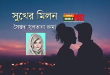 সুখের মিলন