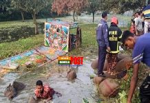 চাঁপাইনবাবগঞ্জে ধানের ট্রলি উল্টে নিহত ৯