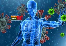 আপনার রোগ প্রতিরোধ ব্যাবস্থাকে (ইমিউন সিস্টেম) শক্তিশালী করুন