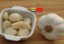 প্রতিদিন সকালে ১ কোয়া রসুন খেলে যা হবে