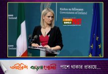 ১৭,০০০ অনিবন্ধিত অভিবাসীদের বৈধতা দেওয়ার প্রস্তুতি নিচ্ছে আইরিশ সরকার