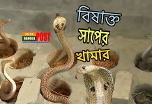 বাংলাদেশে সাপের খামার একটি উজ্জ্বল সম্ভাবনাময় ব্যবসায়িক খাত