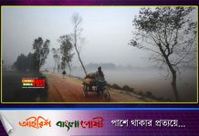 দেশে শীতের তীব্রতা কিছুটা কমছে