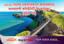 ২০২০ সালের মহামারিকালে আয়ারল্যান্ডে বাংলাদেশী কমিউনিটি কি করেছে? (প্রথম পর্ব)