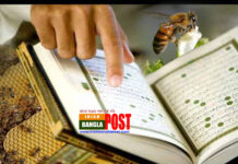 পবিত্র কোরআনে মৌমাছির বর্ণনায় যা শেখা যায়