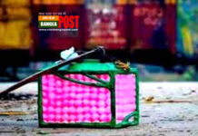 হাওয়াই মিঠাই: শৈশবের এক টুকরো আনন্দ