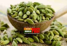 কিডনি সমস্যা দূর করে এলাচ