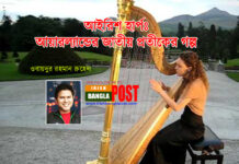 আইরিশ হার্পঃ আয়ারল্যান্ডের জাতীয় প্রতীকের গল্প