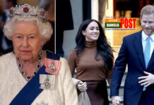 হ্যারি-মেগানের জন্য রানি এলিজাবেথ ব্যথিত
