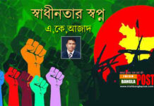 স্বাধীনতার স্বপ্ন