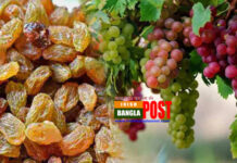 আঙুর নাকি কিশমিশ, আপনার জন্য কোনটি বেশি উপকারী?