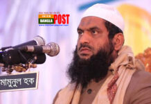 আমাকে অবরুদ্ধ করা এটি সরকারের গভীর ষড়যন্ত্রের অংশ:মামুনুল হক (ভিডিও)