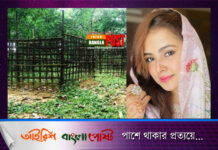 বিলাসবহুল ফ্ল্যাট থেকে মুনিয়ার ঠিকানা এখন কবর