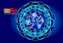 দেশে করোনার চারটি ভ্যারিয়েন্ট শনাক্ত