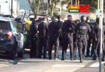 ক্যালিফোর্নিয়ায় বন্দুকধারীর হামলায় নিহত ৯