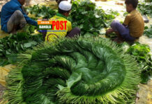 সাড়ে ছয় বছর পর ইউরোপে যাচ্ছে পান