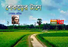 শেকড়ের টানে