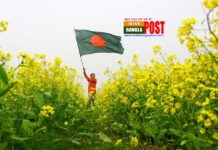 সবাইকে পেছনে ফেলে দক্ষিণ এশিয়ায় তারকা অর্থনীতি হয়ে উঠবে বাংলাদেশ