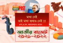 মাথা নেই তাই মাথা ব্যথাও নেই !!!